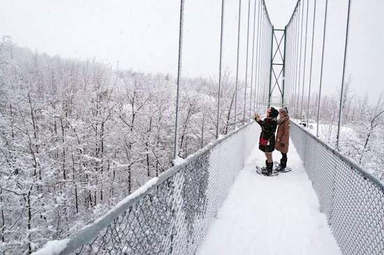جاذبه گردشگری تورنتو | برف نوردی برروی پل معلق ، دو ساعت تا تورنتو